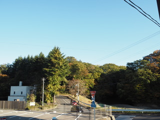 PB151152.JPG